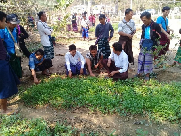 Nông dân Myanmar sử dụng thiết bị cảm biến trên cánh đồng lúa trong mô hình nông nghiệp thông minh